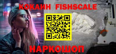 твердый Бердск