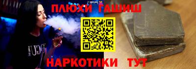 твердый Бердск