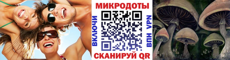 сколько стоит  Алушта  Галлюциногенные грибы мицелий 