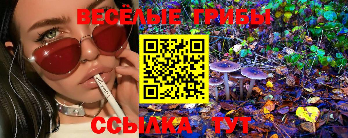 Галлюциногенные грибы GOLDEN TEACHER  Вход с VPN  Алушта 
